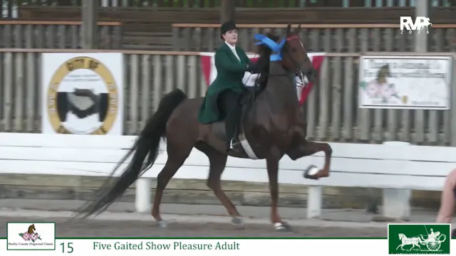 DC26 - Class 15 - Kissed by Charm and...