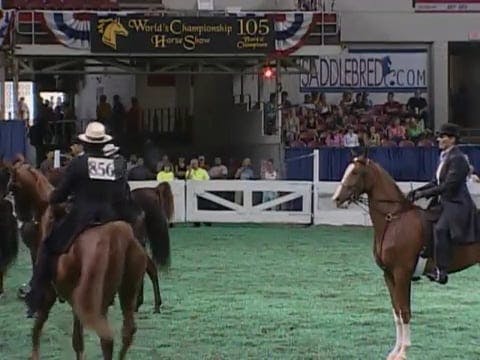 2008 WCHS Class 176 Two Year Old Thre...