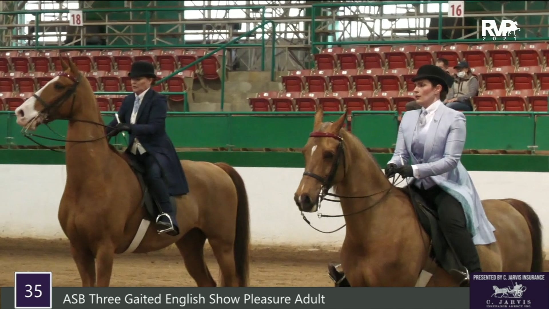 RSP21 - Class 35 - ASB Three Gaited English Show
Pleasure Adult