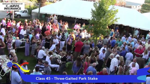 2015 SHS - Class 45 Three Gaited Park...