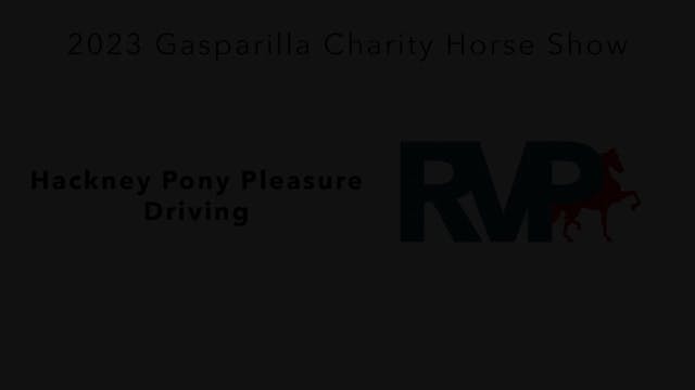 GASP23 - Class 25 - Hackney Pony Plea...
