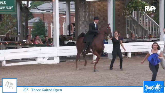 SSC25 - Class 27 - Nutcracker's Bella...