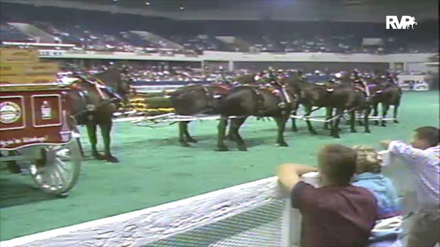 1991 WCHS 8 Horse Hitch