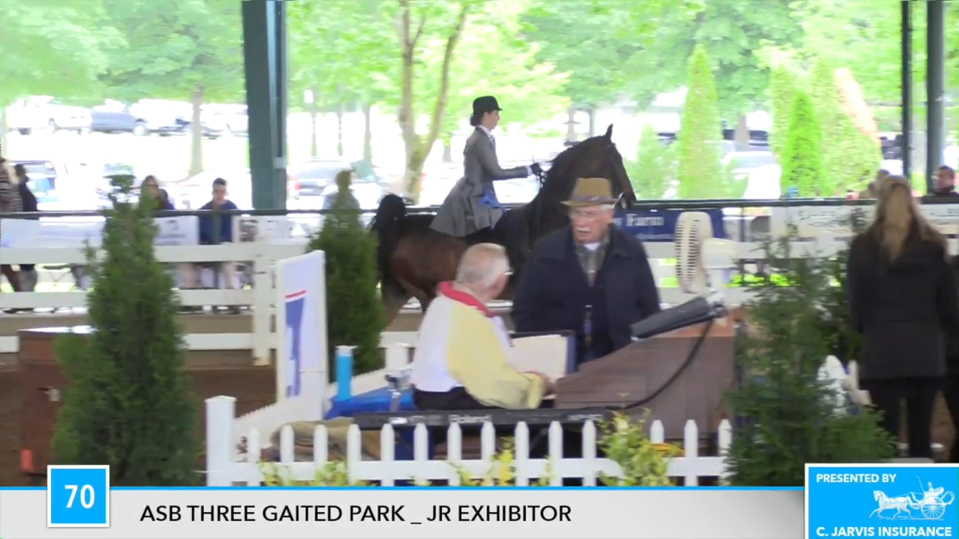 DC17 - Amberwood's Blue Ink