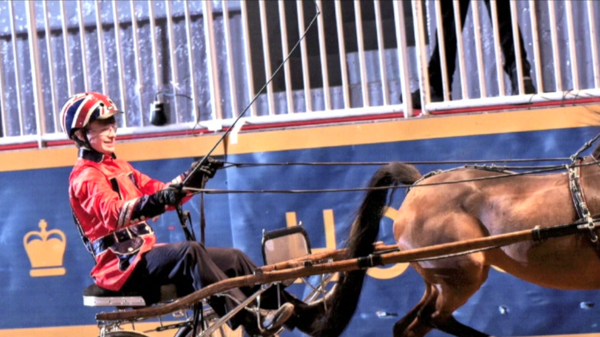 2016 Danny Hicks - AHHS Junior Exhibitor of the Year Award