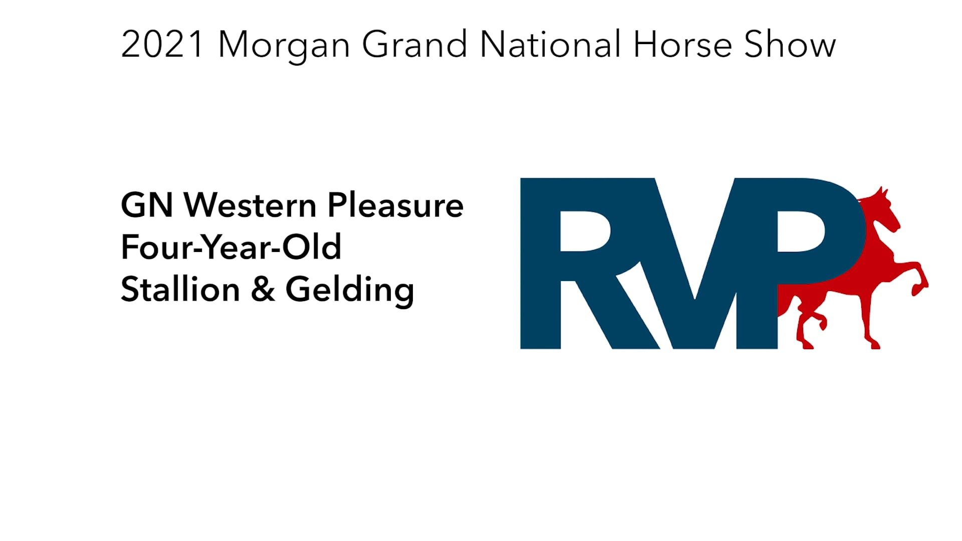 MGN21 - Class 98 - GN Western Pleasure Four-Year-Old Stallion & Gelding