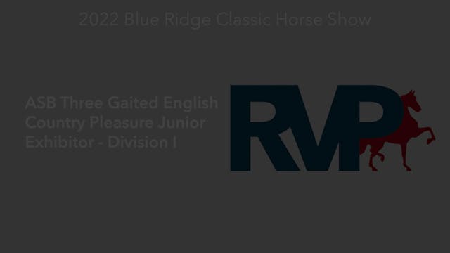 BR22 - Class 113.1 - ASB Three Gaited...