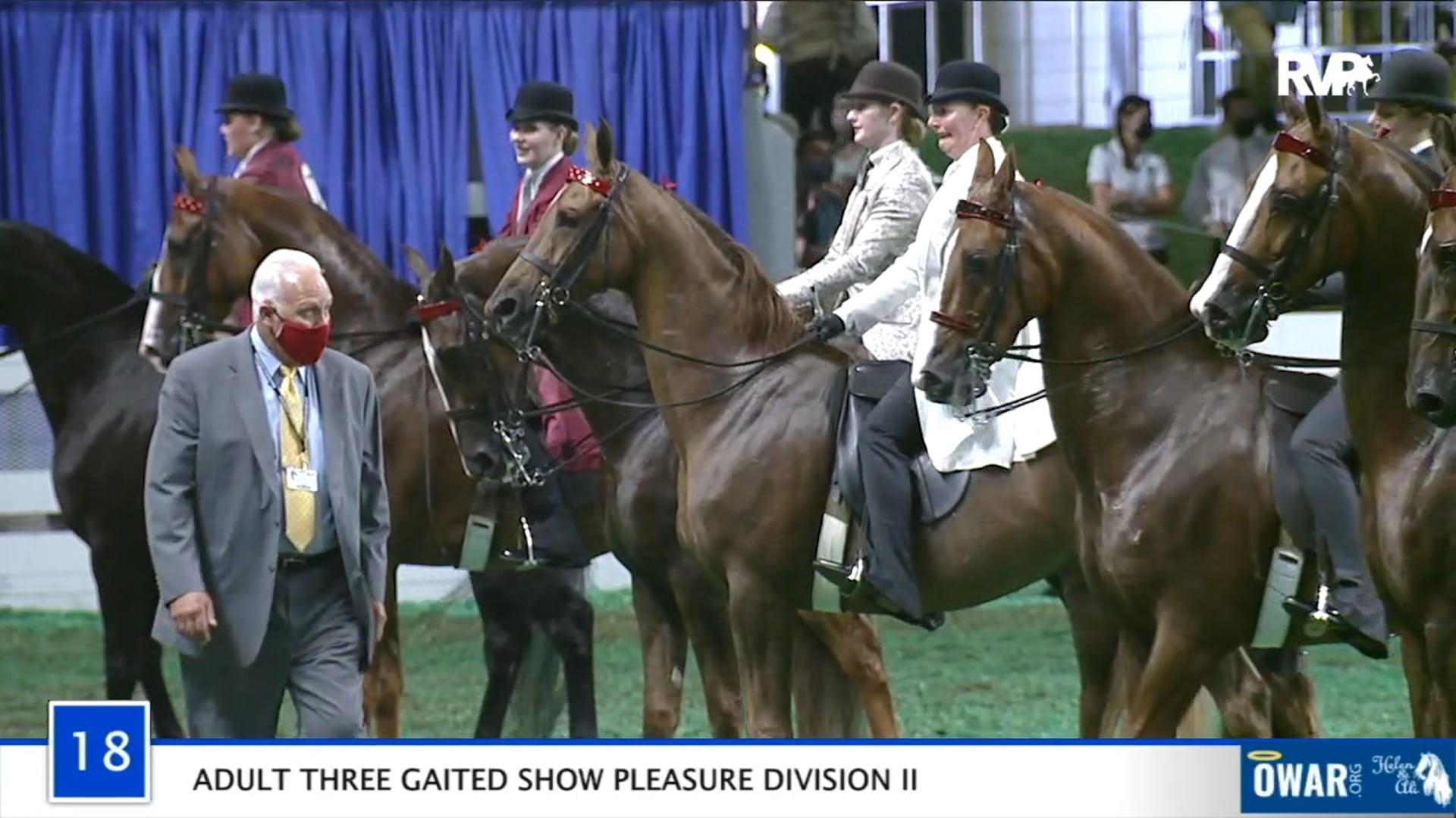 WCHS 2020 Class 18 - Adult Three Gaited Show Pleasure Division II