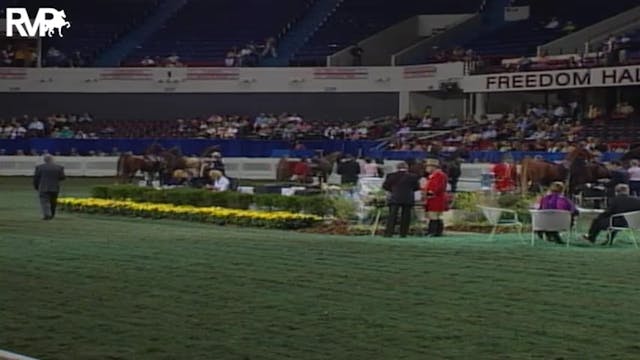 2004 World's Championship Horse Show ...