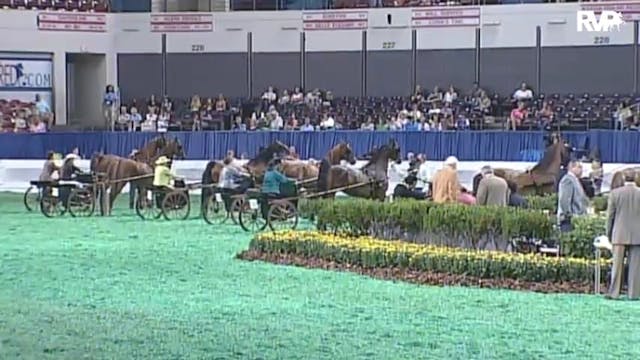 2010 World's Championship Horse Show ...