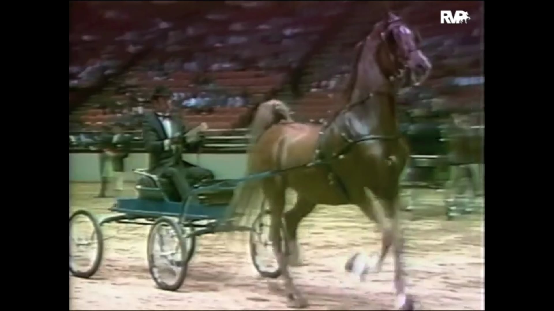 Looking Back on the 1991 The New York National at the Meadowlands