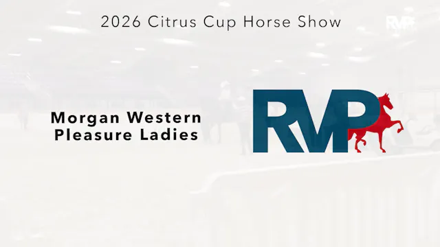 CC26 - Class 142 - Morgan Western Ple...