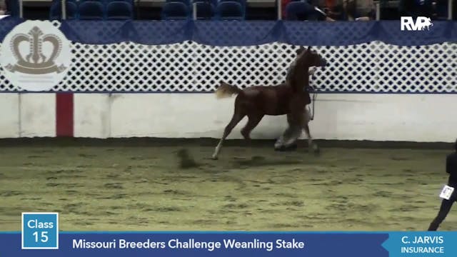 2014 KC - Class 15 Missouri Breeders ...