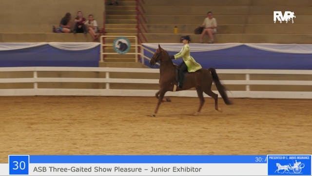 ASF23 - Class 30 -  ASB Three Gaited ...