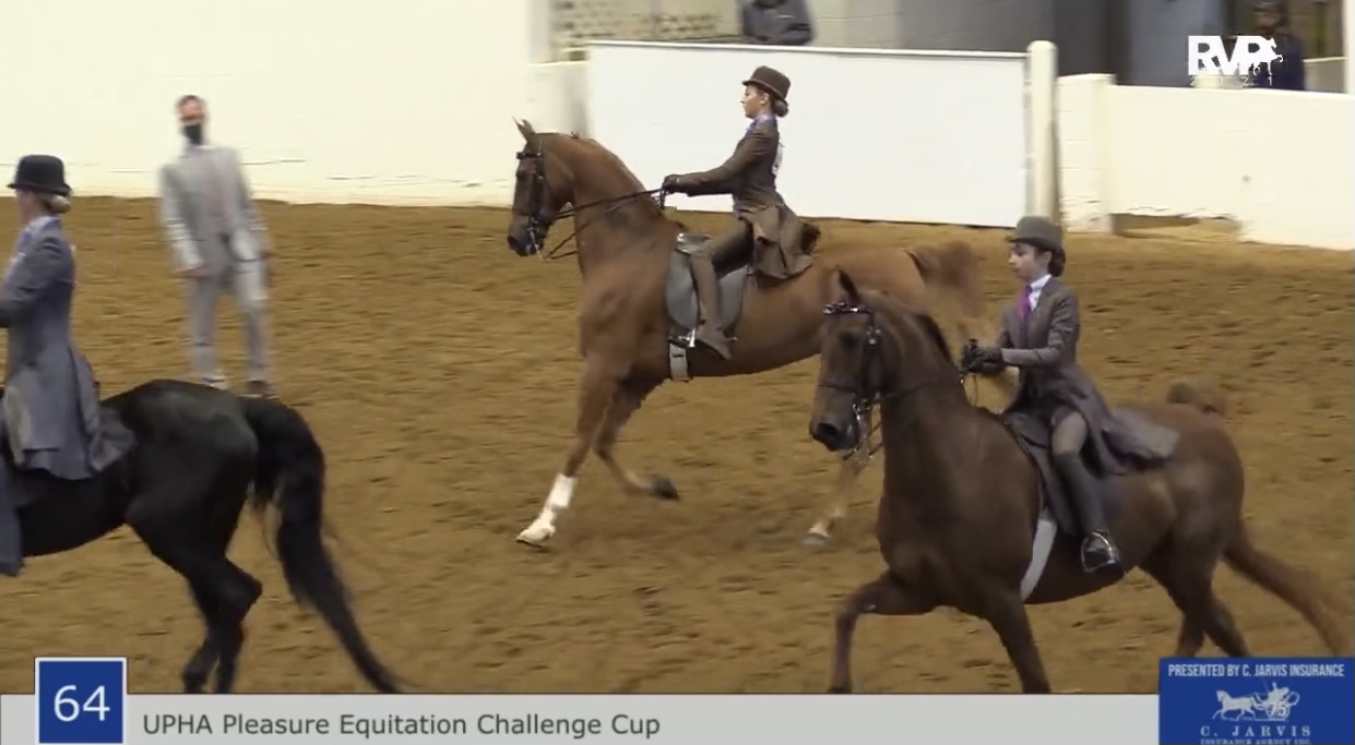 BB21 - Class 64 - UPHA Pleasure Equitation Challenge Cup 