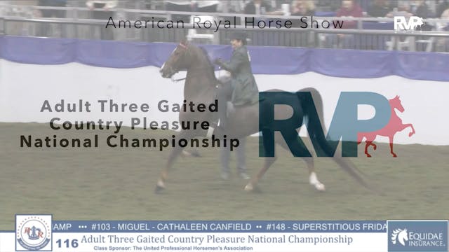 AR24 - Class 116 - Adult Three Gaited...