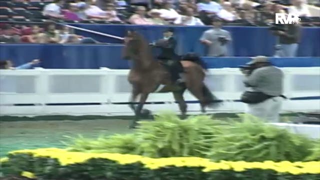 2000 WCHS Class 83 Equitation Open Ri...