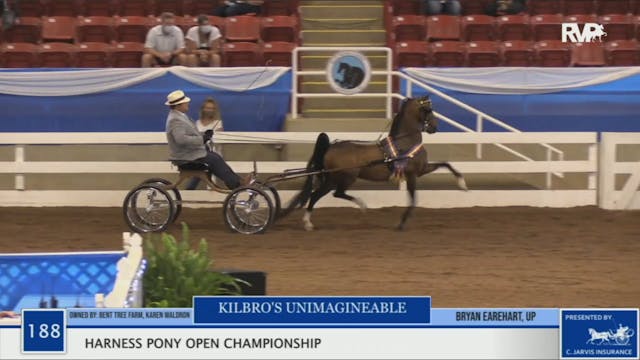 2020 BR - Class 188 Harness Pony Open...