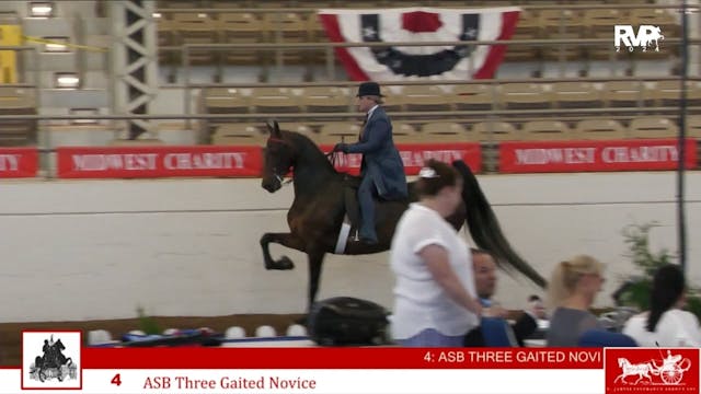 MW24 - Class 4 - ASB Three Gaited Novice