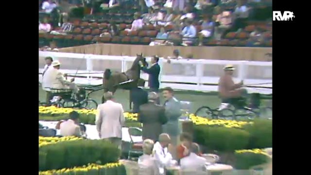 1988 WCHS Class 121 Junior Hackney Pony