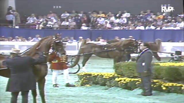 1991 WCHS Class 113 Fine Harness Mares