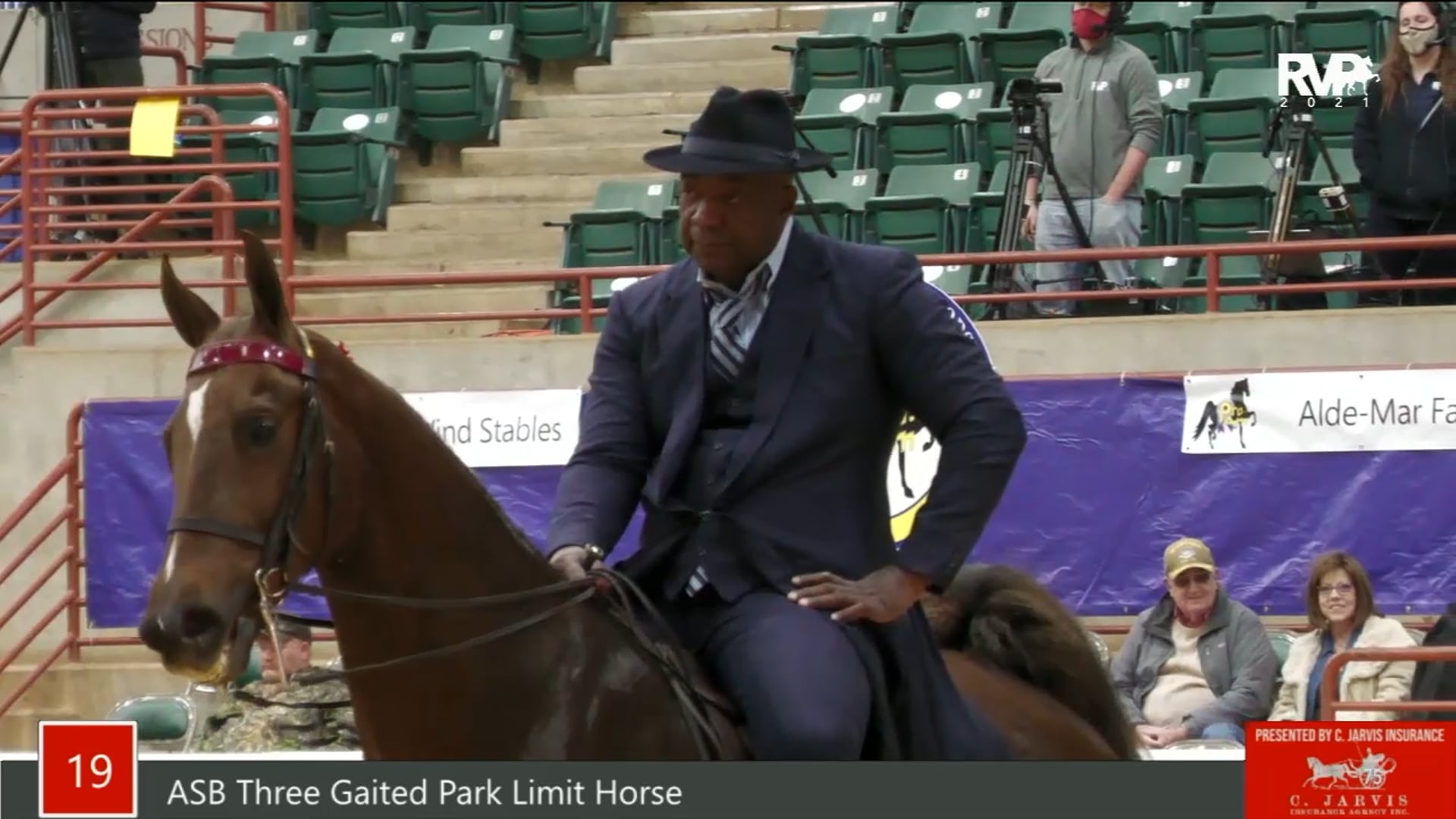 PA21 - Class 19 - ASB Three Gaited Park Limit Horse