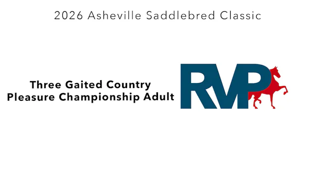 ASC26 - Class 115 - Three Gaited Coun...