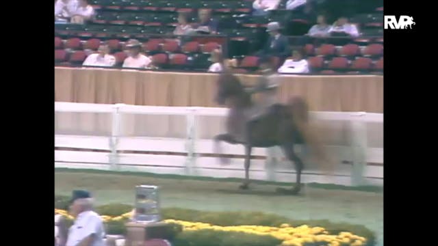 1989 WCHS Class 45 Equitation Open Ri...