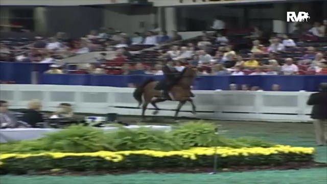 2000 WCHS Class 175 ASB Five Gaited S...