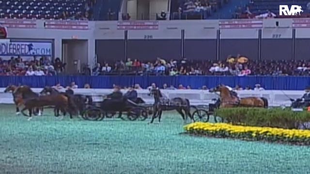 2009 World's Championship Horse Show ...