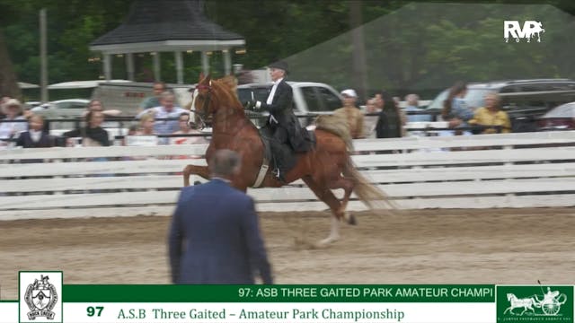 RC24 - Class 97 - ASB Three Gaited Am...