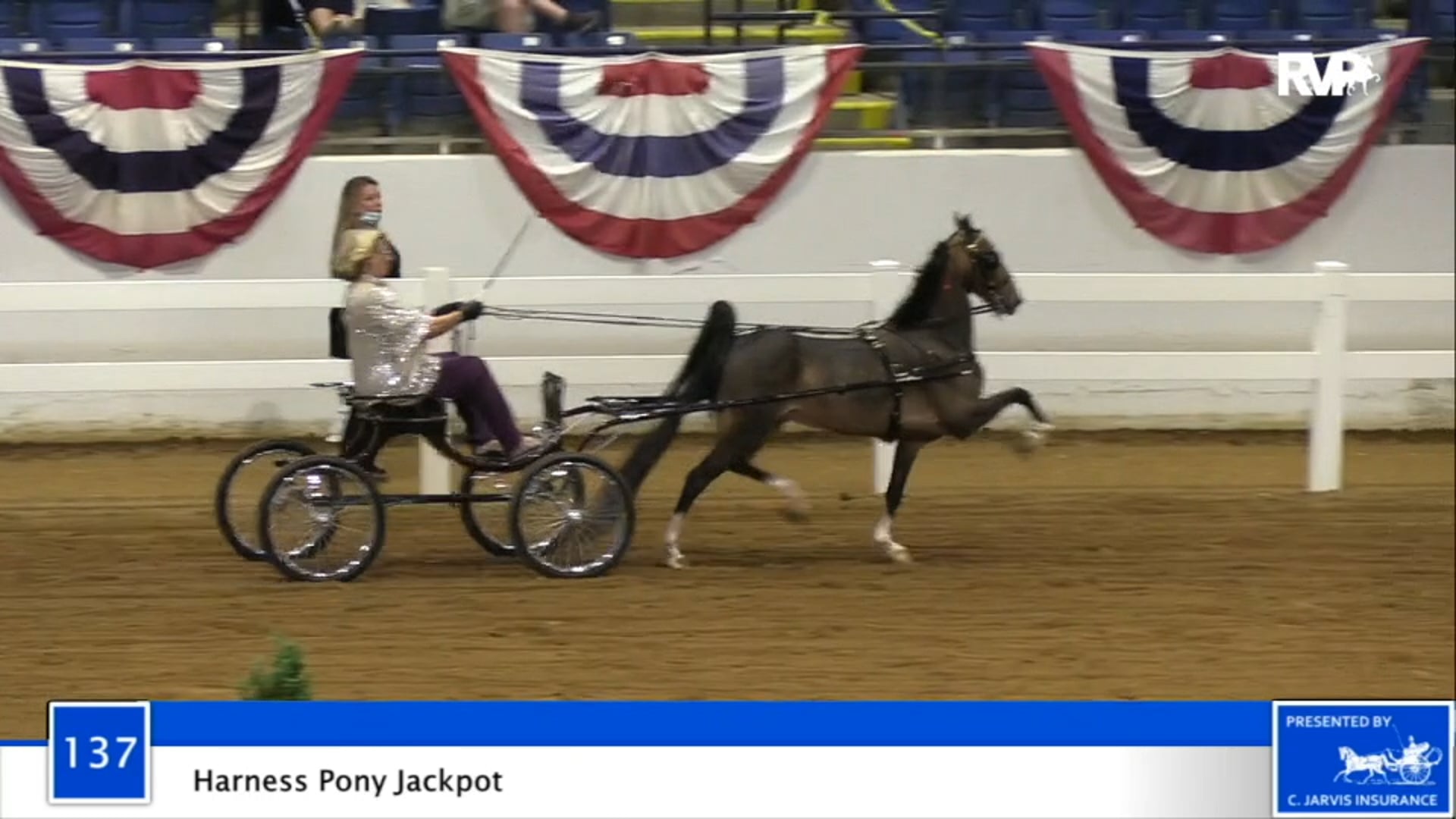 2020 BB - Class 137 Harness Pony Jackpot