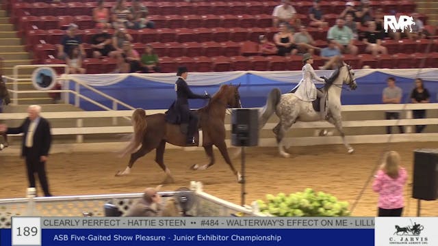 BR22 - Class 189 - ASB Five Gaited Sh...