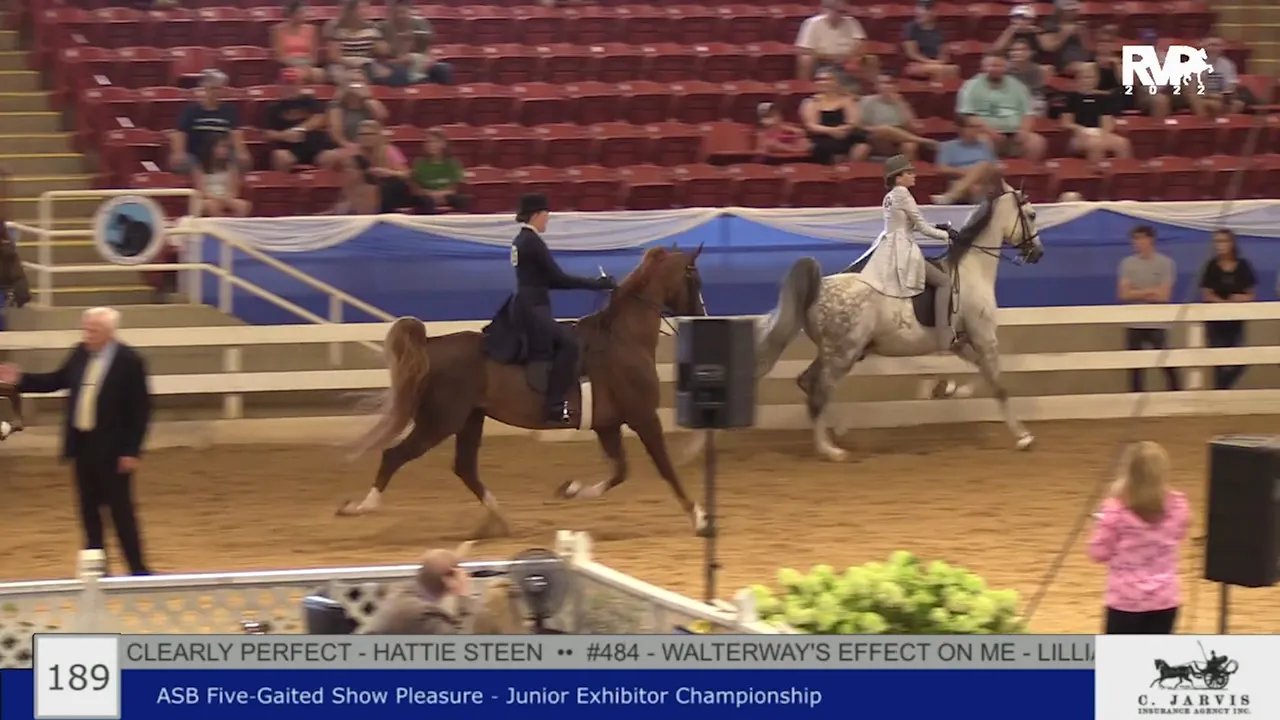 BR22 - Class 189 - ASB Five Gaited Show Pleasure Junior Exhibitor ...