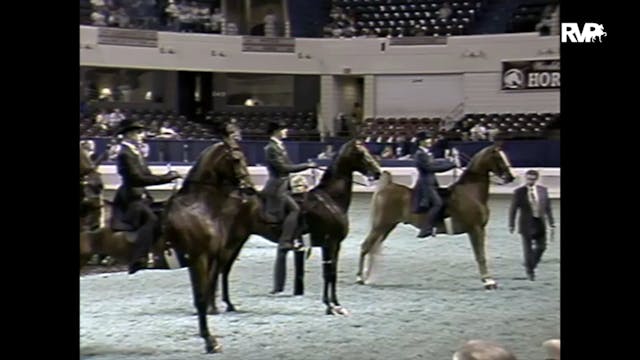 1997 WCHS - Class 56 Equitation - Ope...