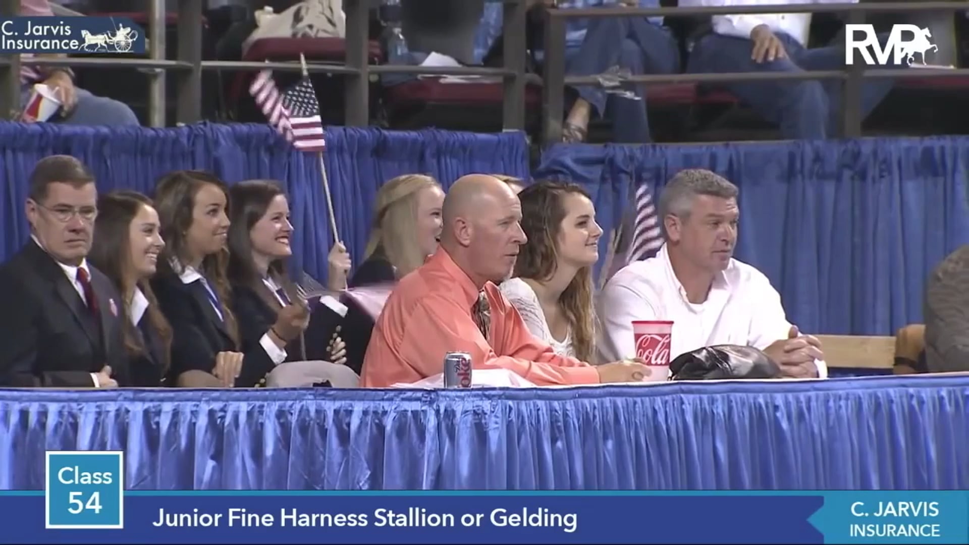 2014 - 2019 WCHS Junior Fine Harness Classes 