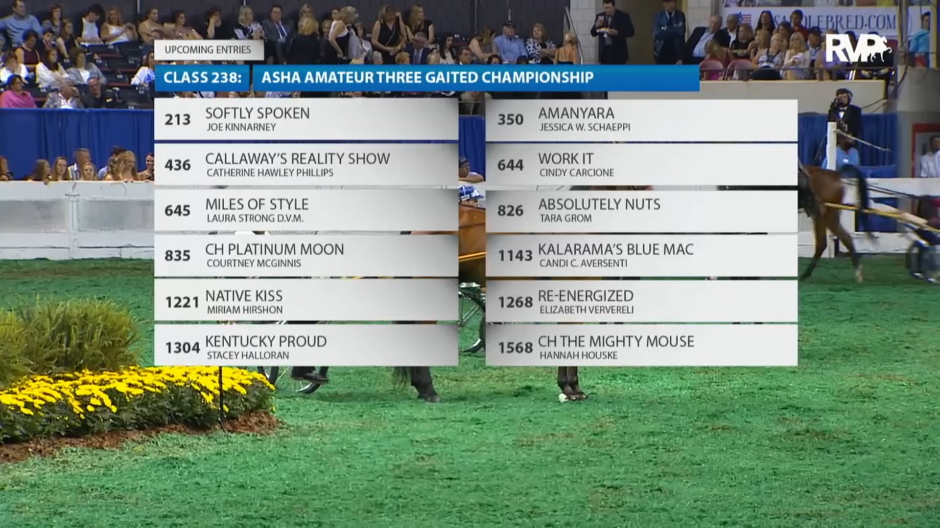 2016 WCHS - Class 237 Roadster To Bike World's 
Grand Championship