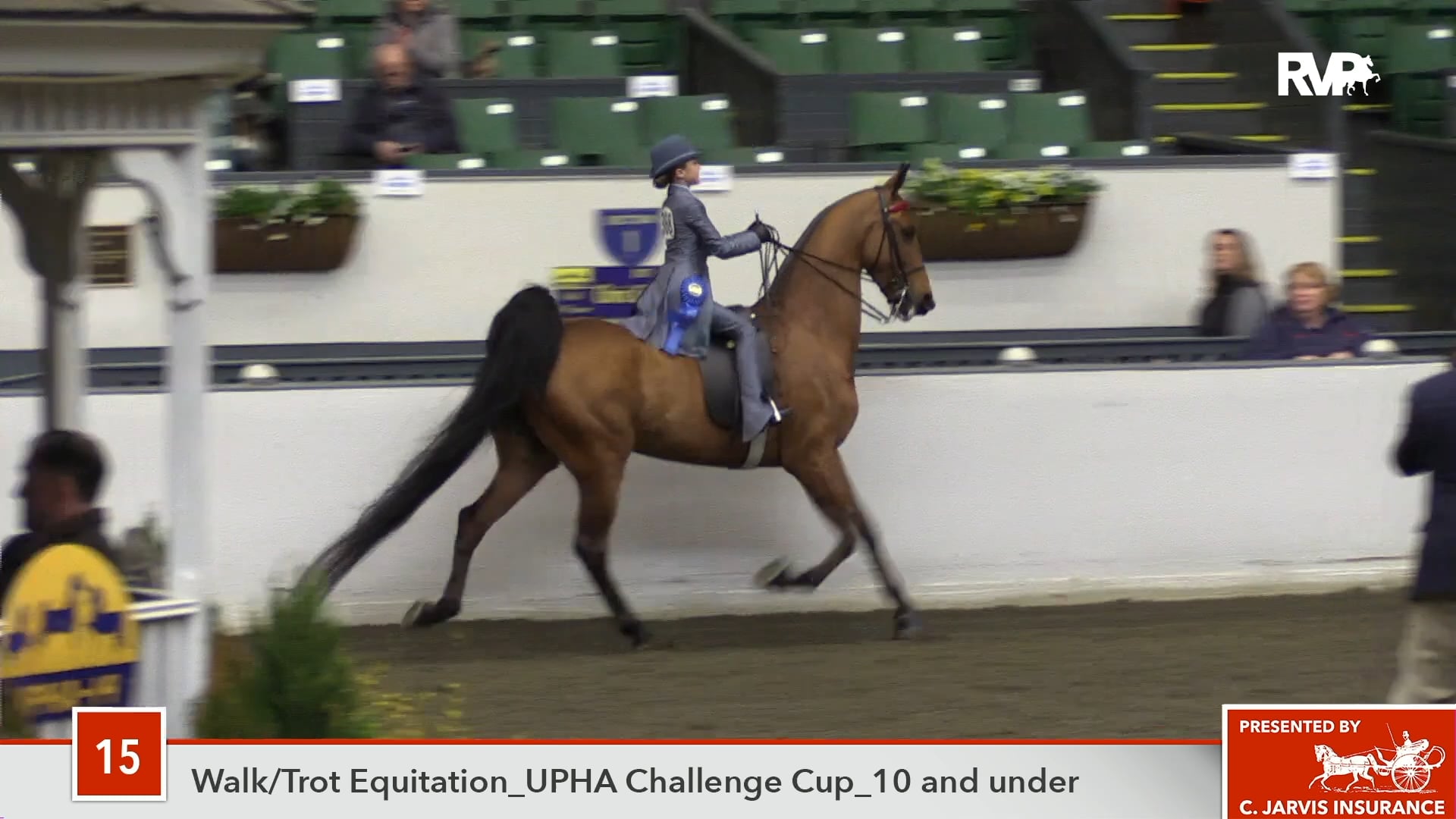 UPHA14-18 Class 15 Undulata's O's Rosebud ERB