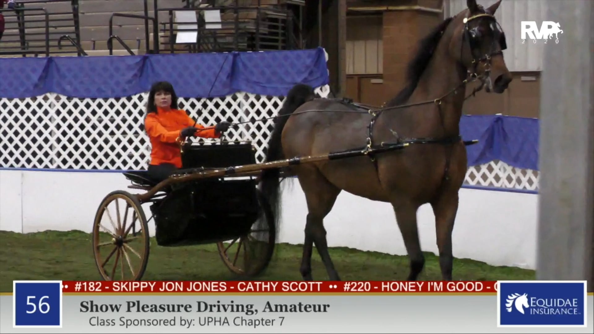 2020 AR - Class 56 Amateur Show Pleasure Driving