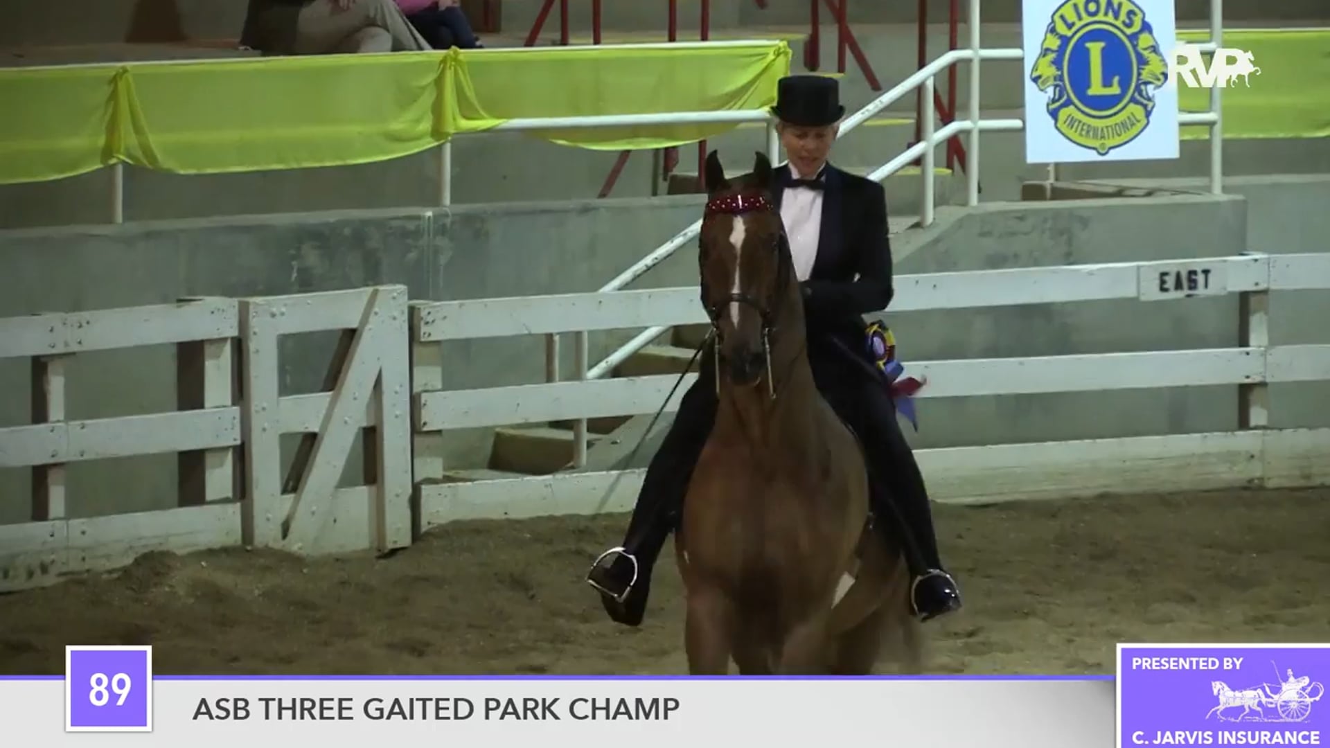 ALCB16 - CH Lace's Last Tango