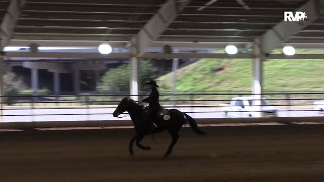 MGN19 - Class 663 - Reining Non-Pro