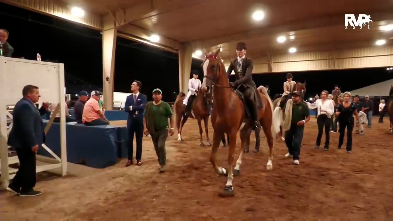 2026 World's Championship Horse Show ...