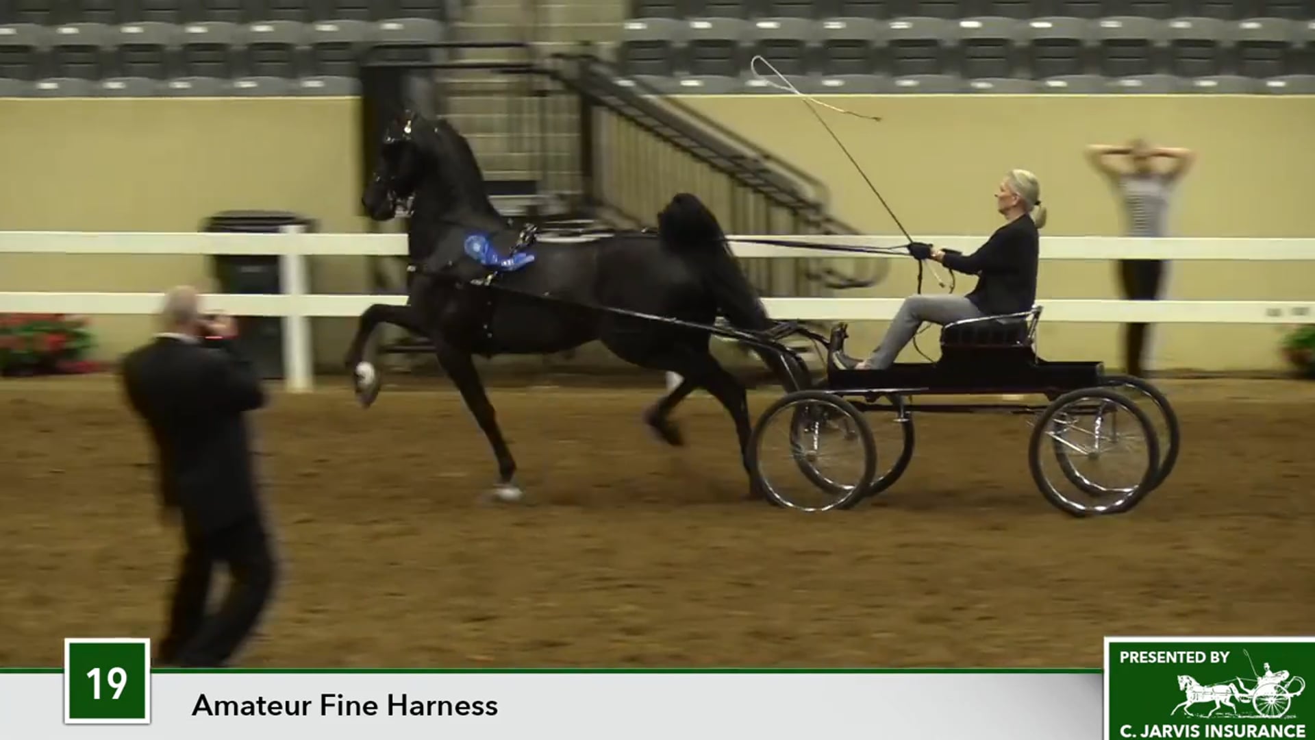 KYSP17 - Kalarama's New York Lady 