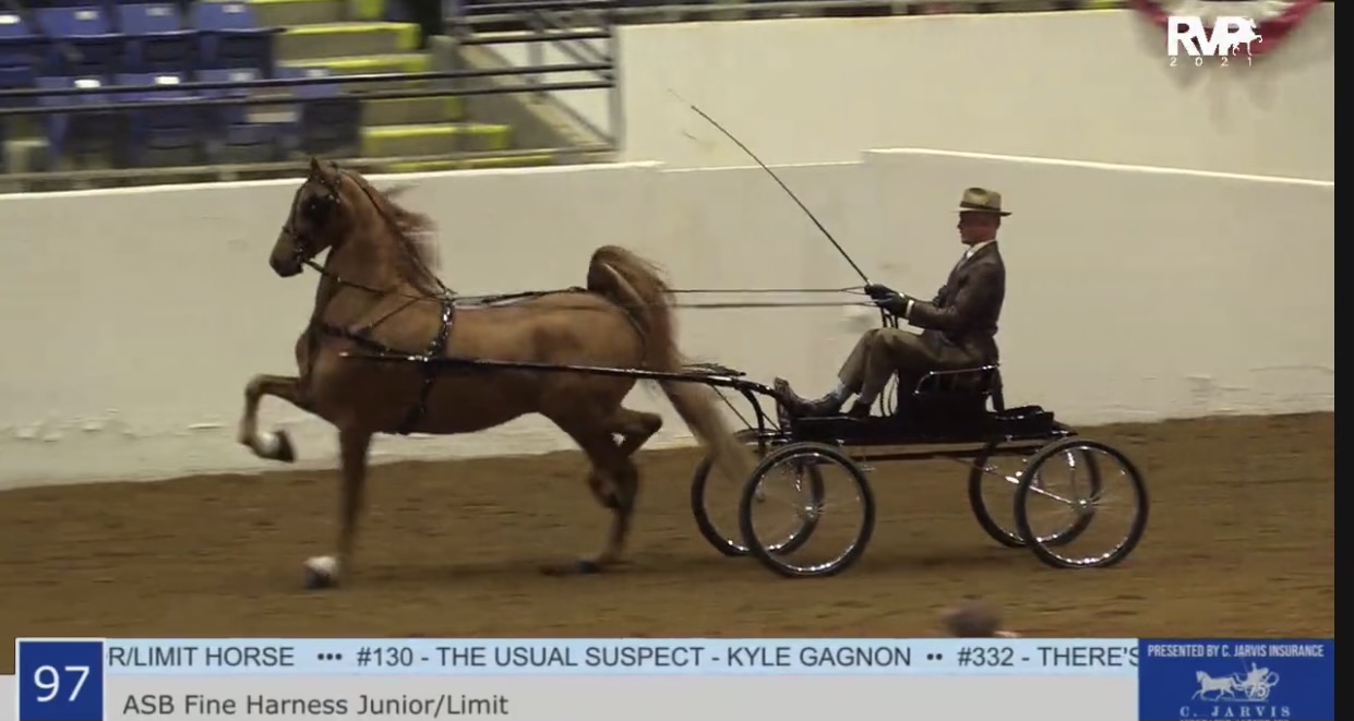 2021 Bonnie Blue National Horse Show - Friday Evening