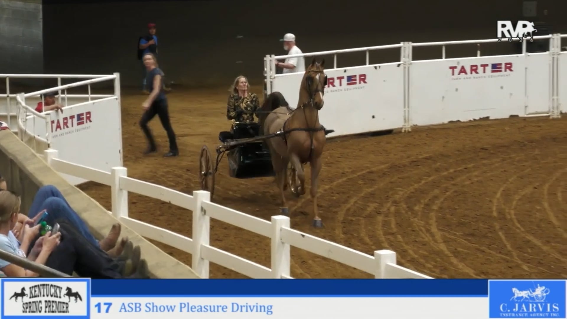 KYSP26 - Class 17 - ASB Show Pleasure Driving