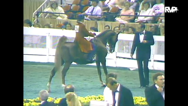 1988 WCHS Class 35 Ladies Three Gaite...