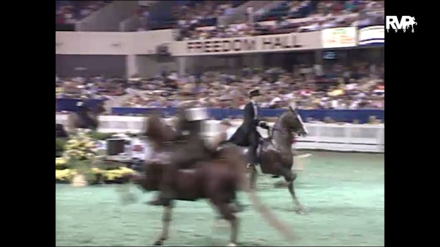 1998 WCHS - Class 105 Three Gaited 15...