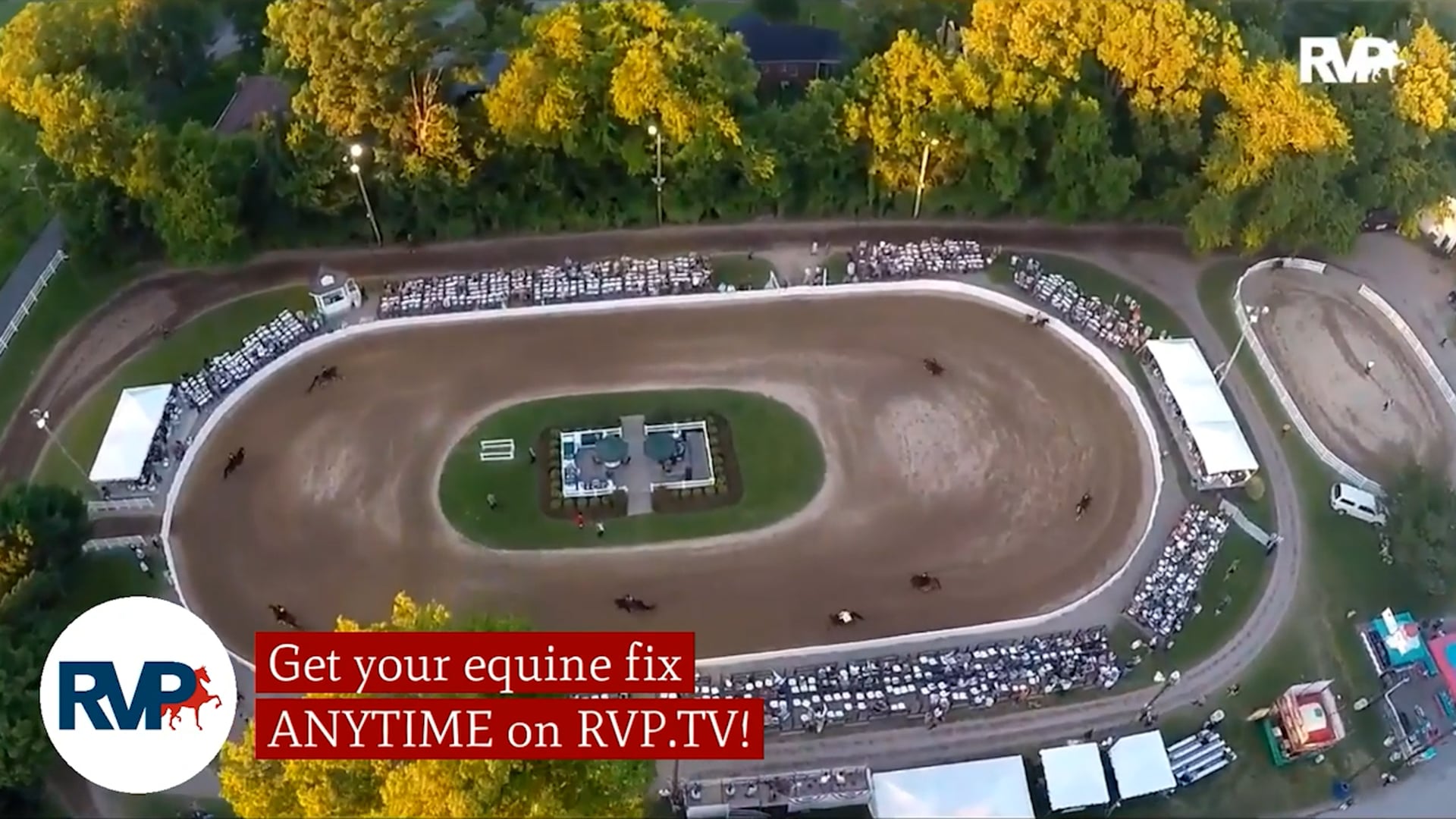 WCHS21 - Class 134 - CH Katharine The Great and Anna Marie Knipp, Whip