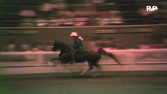 1983 WCHS - Starina Under Two Class 