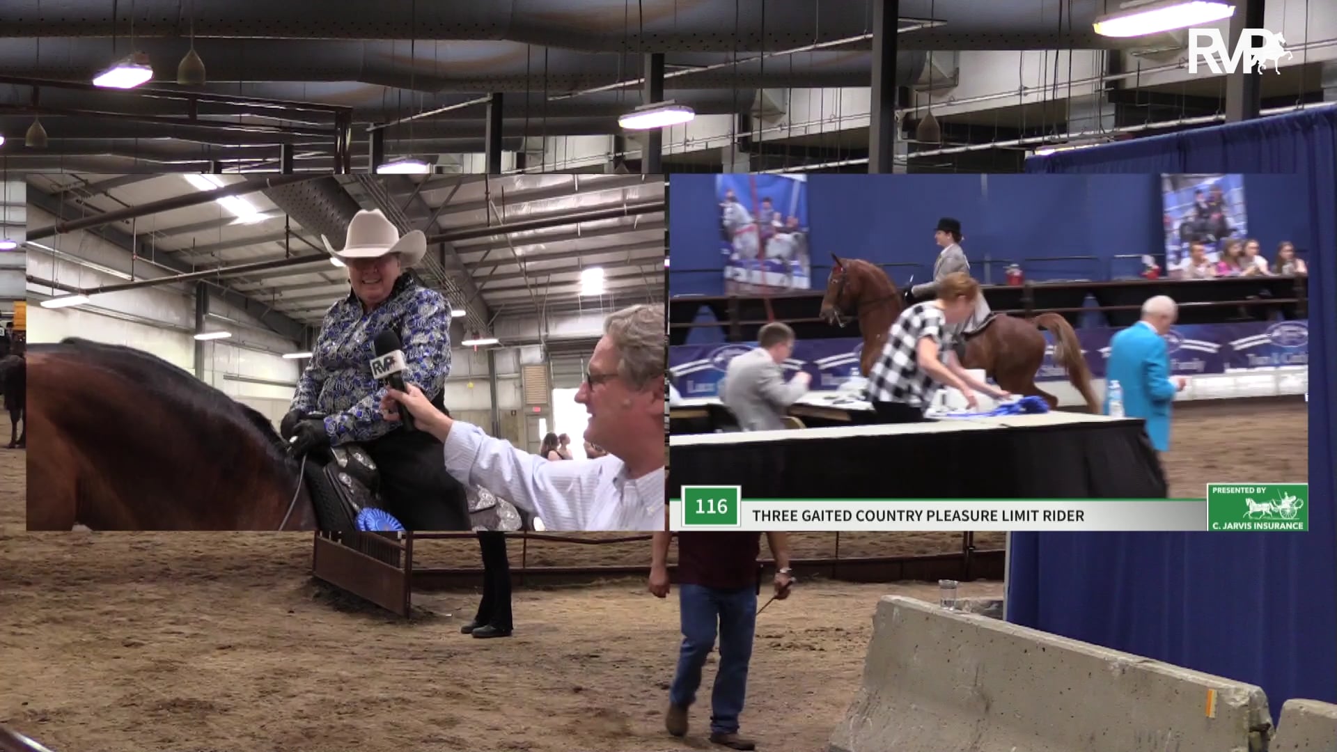 MC19 - Class 115 - Kinzu Gracefilly Wild